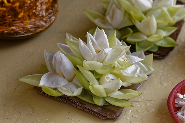 Kandy-Temple de la dent-009